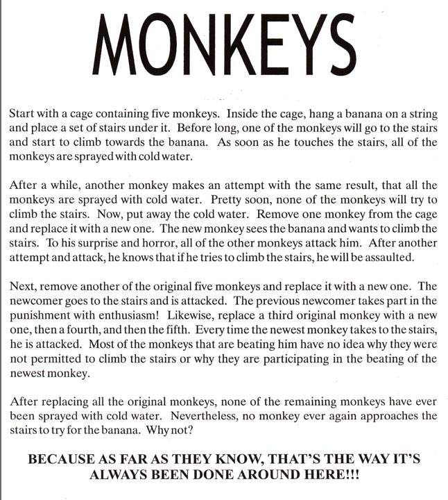 www.jordanmaxwell.com/articles/quotes/images/monkeys.jpg